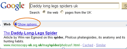 Google Show Options