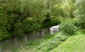View_Training_Suite_Osney_Blog_20140507