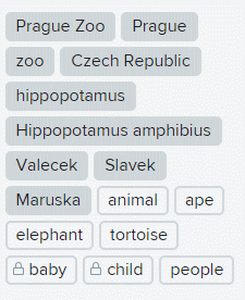 Flickr-Tags