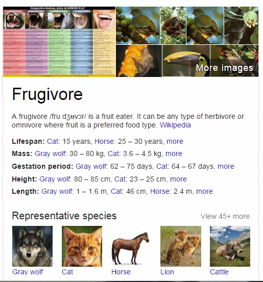 Google_Frugivore