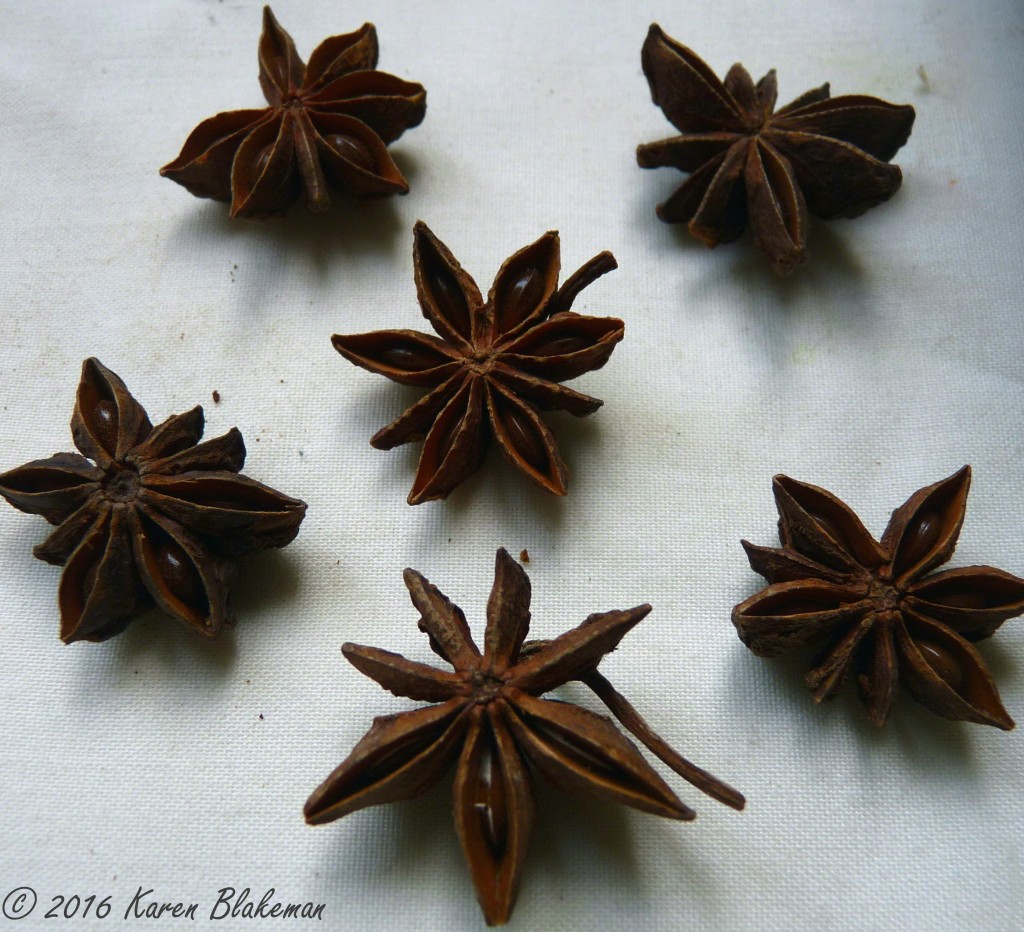 Star_Anise_20160311_Signed