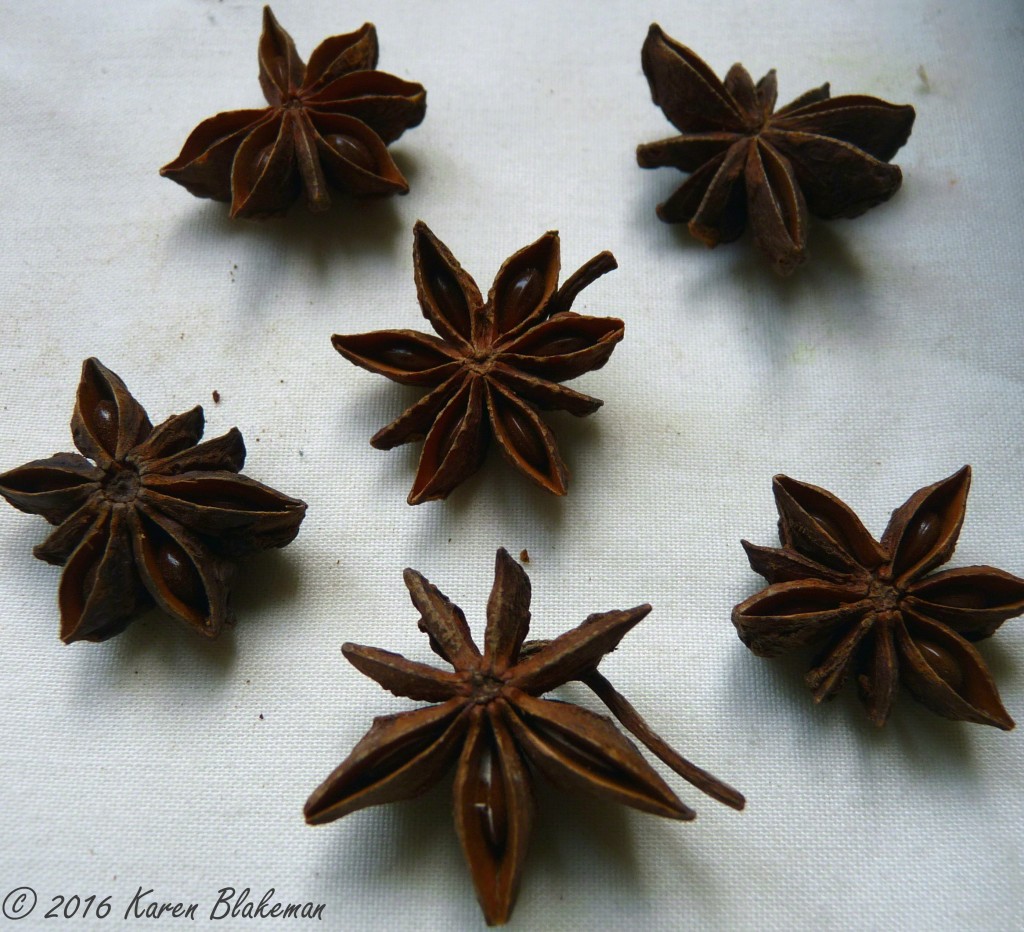 Star_Anise_20160311_Signed