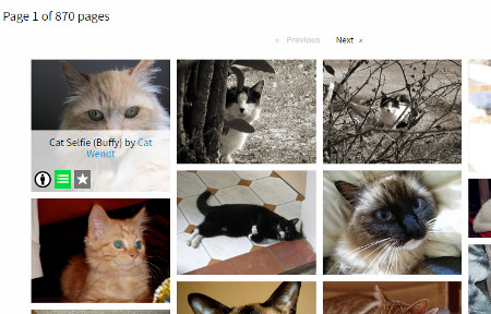 CC Image Search on cat