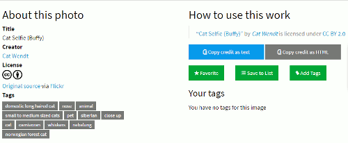 Image information and tags