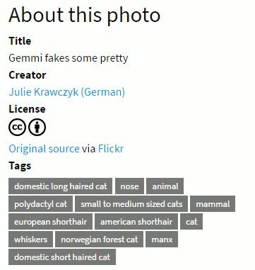 CC Image tags