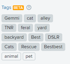 Flickr tags